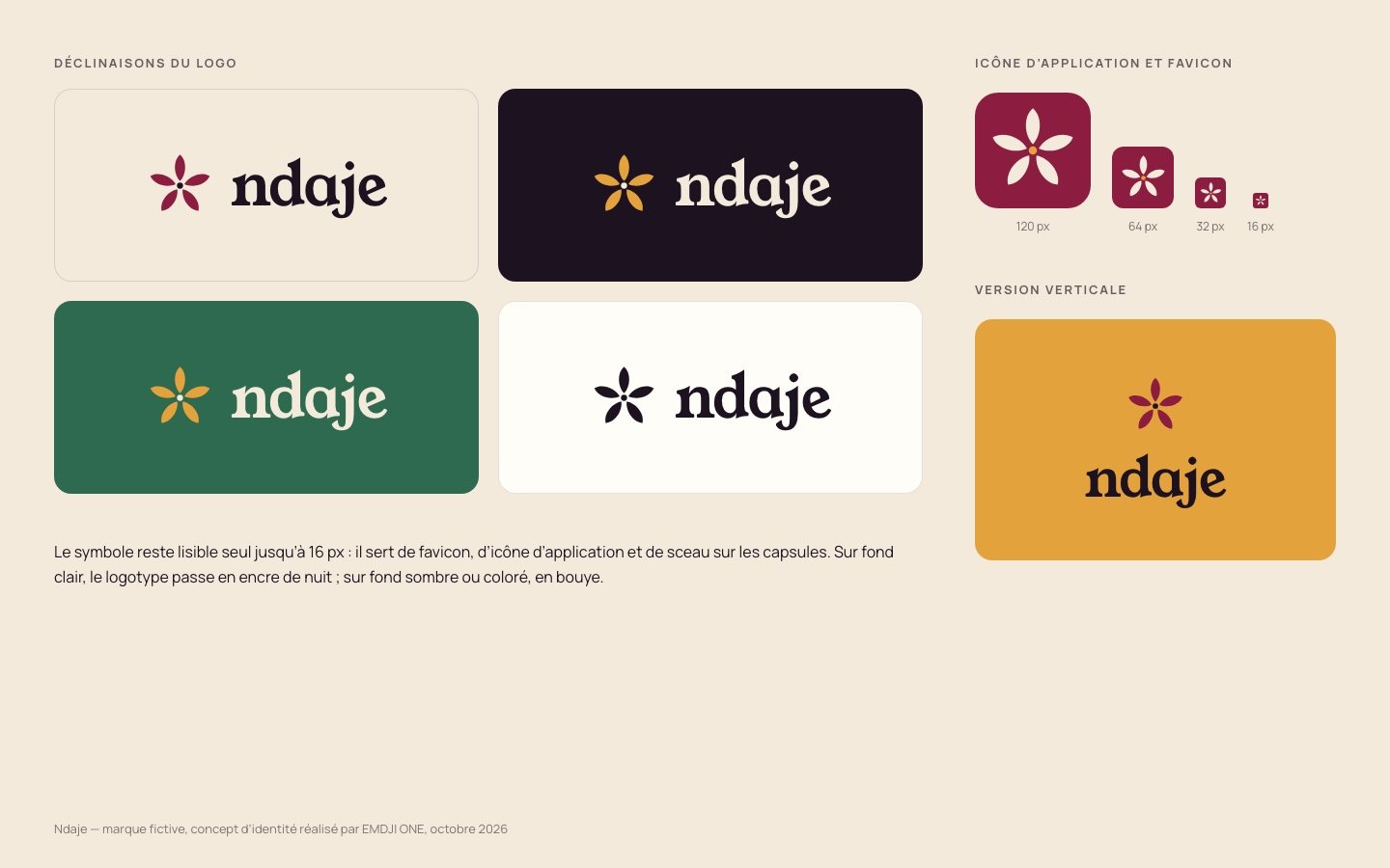 Ndaje — Déclinaisons du logo, icône et favicon