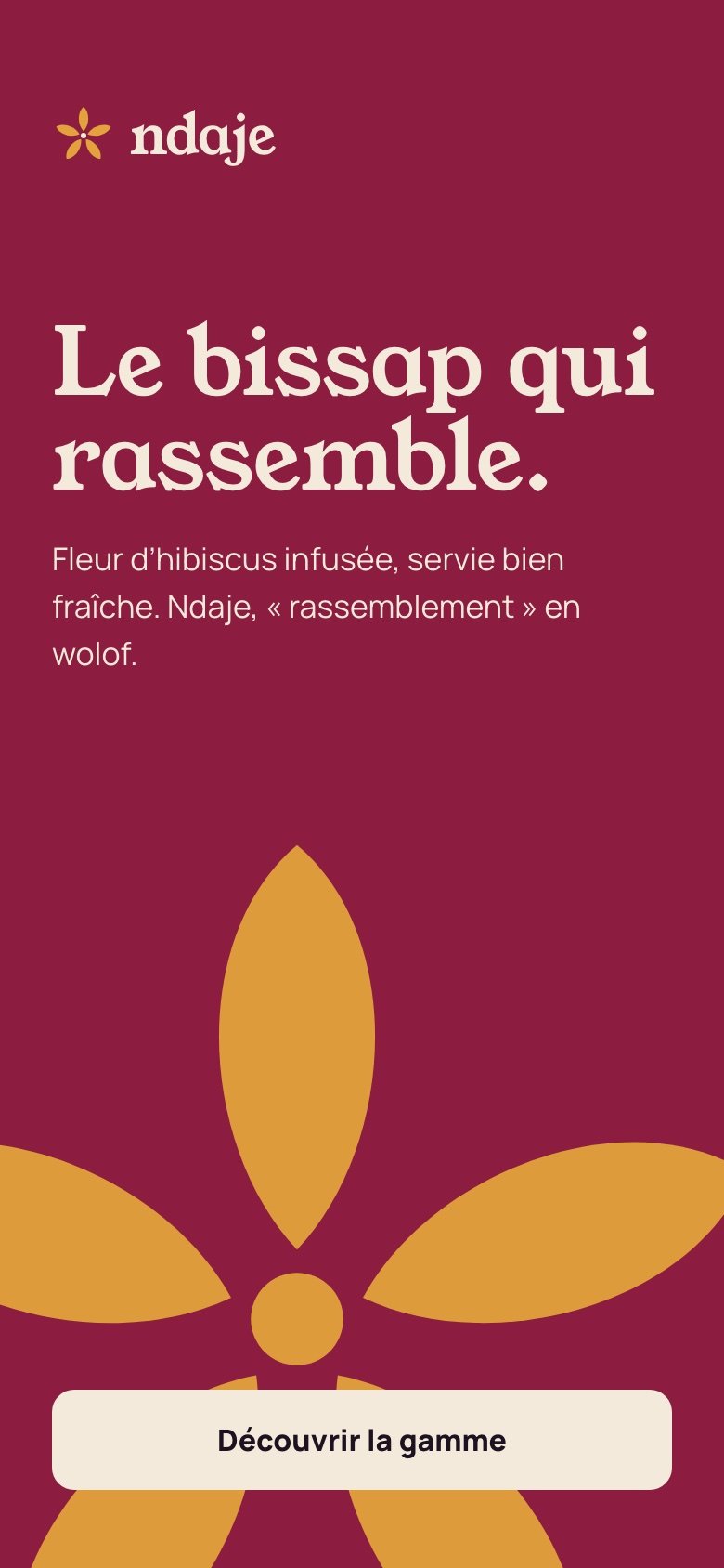 Ndaje — Story de lancement sur mobile