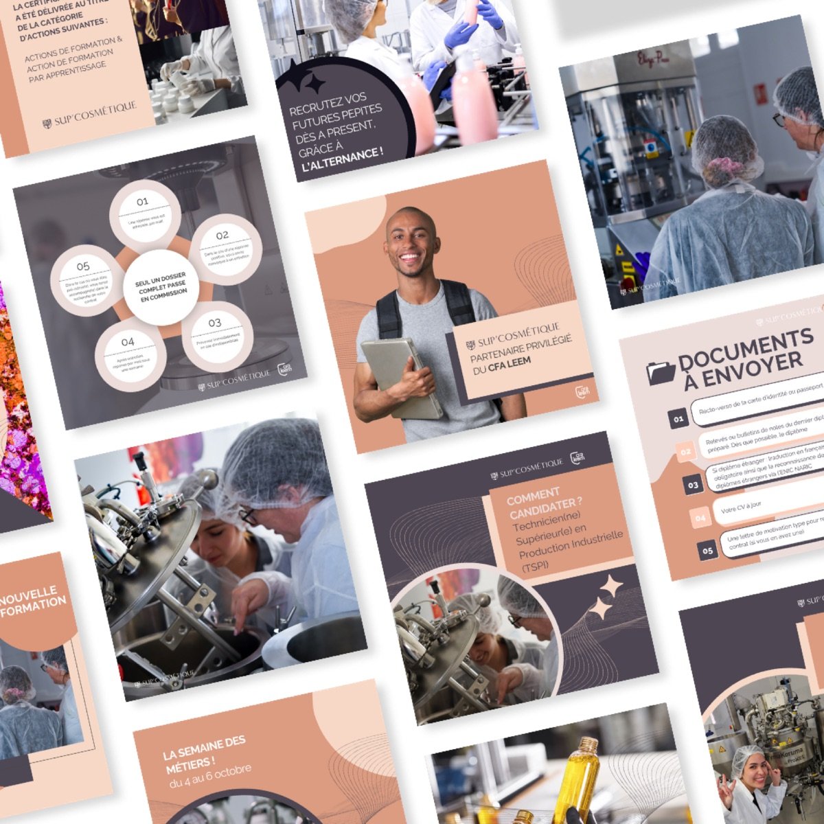 Instagram pour entreprise : bien démarrer au Sénégal